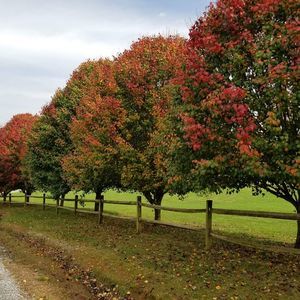 Meet your Posher, Patty